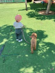 点击看大图 -萌宠亲子动物乐园(槐房万达店)