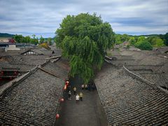 -中天楼