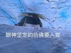 -海合安青岛极地海洋公园