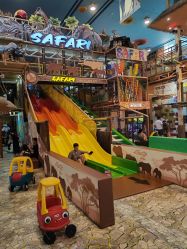 -卡通尼·Safari非洲探索乐园·生日会(金桥国际商业广场店)