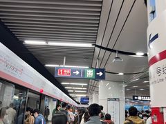 -大望路(地铁站)