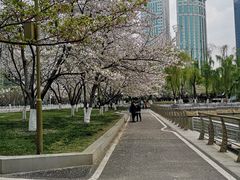 -西北湖绿化广场