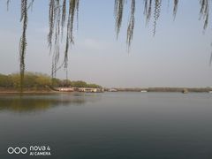 -大兴滨河森林公园