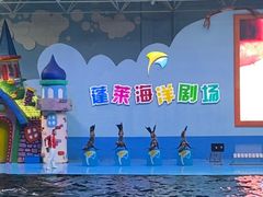 -蓬莱欧乐堡海洋极地世界