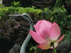 -天坛大佛