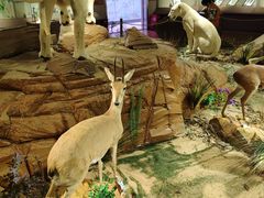 -陕西自然博物馆