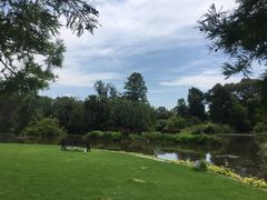 -墨尔本皇家植物园