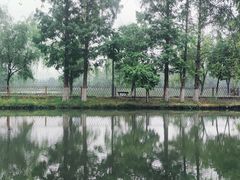 -洋湖国家湿地公园