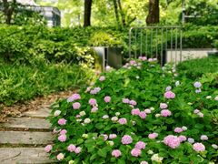 -北外滩滨江绿地