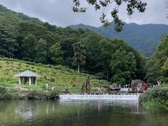 -广州市石门国家森林公园