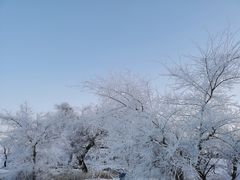 -雾凇岛