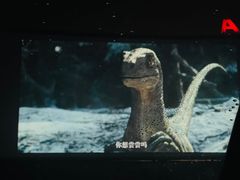 -枫花园汽车电影院(朝阳公园店)