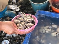 -蚝乡农庄(铁涌赤岸店)