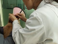 -乐宠动物医院