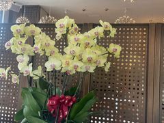 -湛江菜.江南首席(昆山店)
