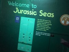 -悉尼海洋生物水族馆