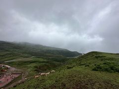 -乌蒙大草原