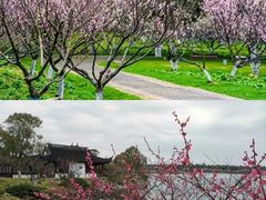 -上海海湾国家森林公园