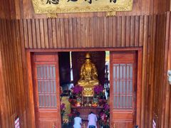 -深圳仙湖植物园