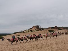 -玉龙沙湖景区