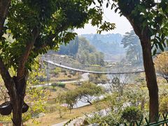 -东莞植物园
