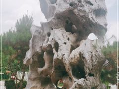 -惠州西湖丰渚园