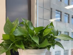 -亮马河大厦办公楼-1座