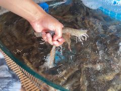 -蓝珊海鲜澳洲和牛自助餐厅