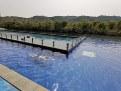 -水底山庄园温泉