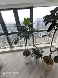 -HEYAN荷妍专业脱毛连锁机构