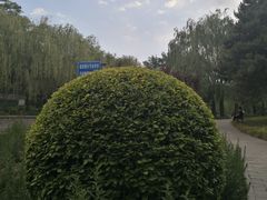 -元大都城垣遗址公园