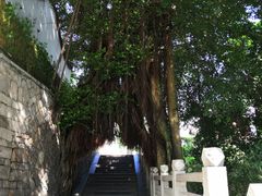 -乌山风景区