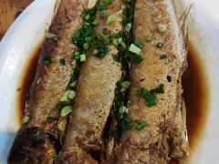 香煎马头鱼-和记菜馆