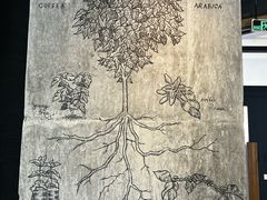 -星巴克(珠海摩尔百货店)