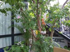 -京北渔家傲