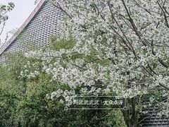 -国际非物质文化遗产博览园