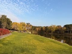 -养云安缦吧THE BAR