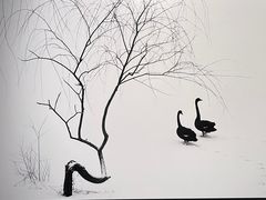 -罗红摄影艺术馆