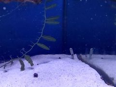 -南昌海洋公园