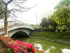 -长洲岛