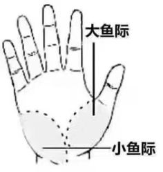 -香薇妮丝女子减肥院
