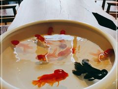 -花城苑广府菜(侨鑫店)