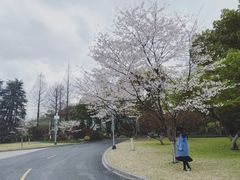 -浙江西子宾馆·牡丹厅