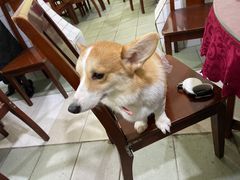 -温江公平红烧兔(总店)