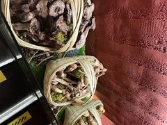 -滇野云南野生菌餐厅(陕西南路店)