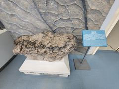 -延庆地质公园博物馆