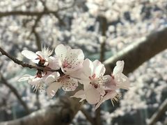 -中关村生命科学园