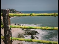 -广东惠东海龟国家级自然保护区