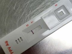 -特一安24小时宠物医院·骨科·中兽医