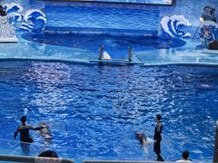 -海合安成都极地海洋公园